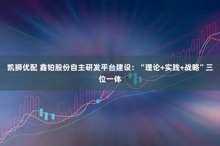 凯狮优配 鑫铂股份自主研发平台建设：“理论+实践+战略”三位一体