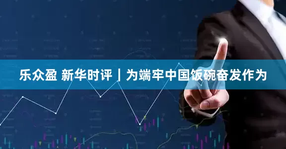 乐众盈 新华时评｜为端牢中国饭碗奋发作为