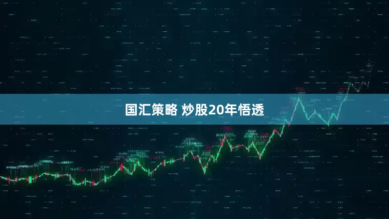 国汇策略 炒股20年悟透