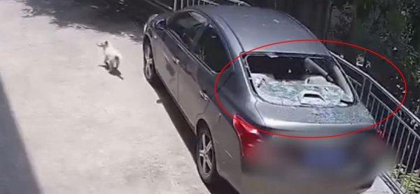 策略联盟 又一车内清新剂爆炸事故！高温天气下你的车内有几个“雷区”？